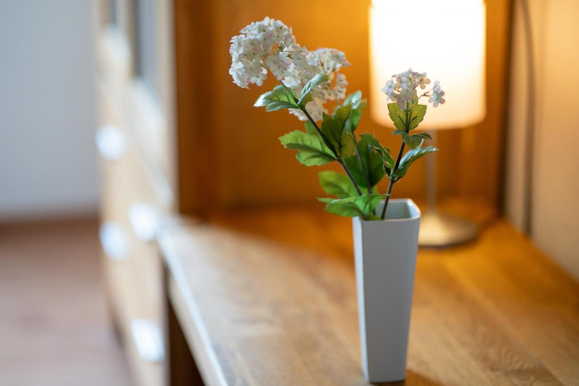 Ostlandstrasse 1 Silbermoewe Apartment Келенхузен Екстериор снимка